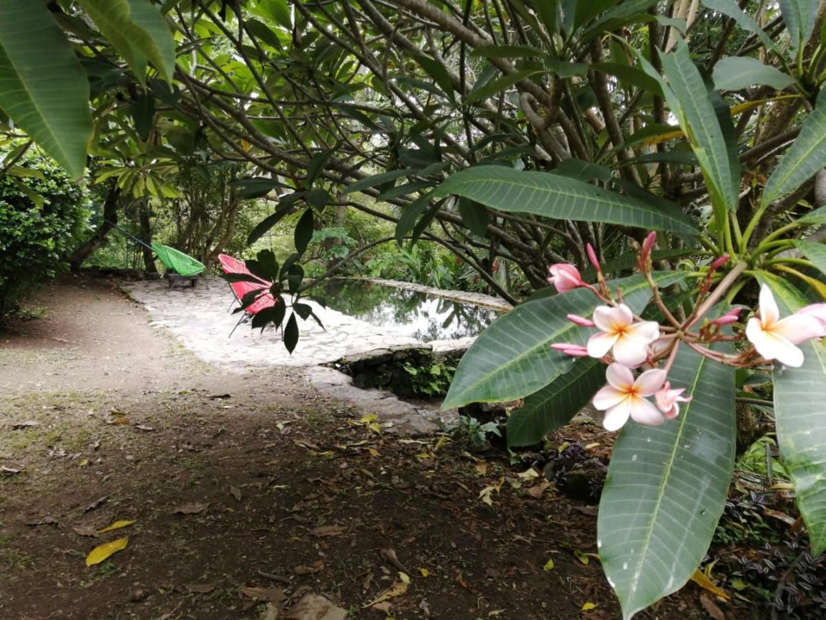 Casa Rural Aroma De Campo Curubande Εξωτερικό φωτογραφία